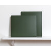 Extra Midi Shelves With Brackets, Olive (Set Of 2) - Storage - 2