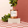 Mistletoe Gold Tumbler Candle - Candles - 2