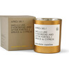 Après Ski Gold Tumbler Candle - Candles - 4