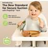 3-Pack BPA-Free Prep Silicone Suction Plate for Baby and Toddler, Terracotta - Food Storage - 2