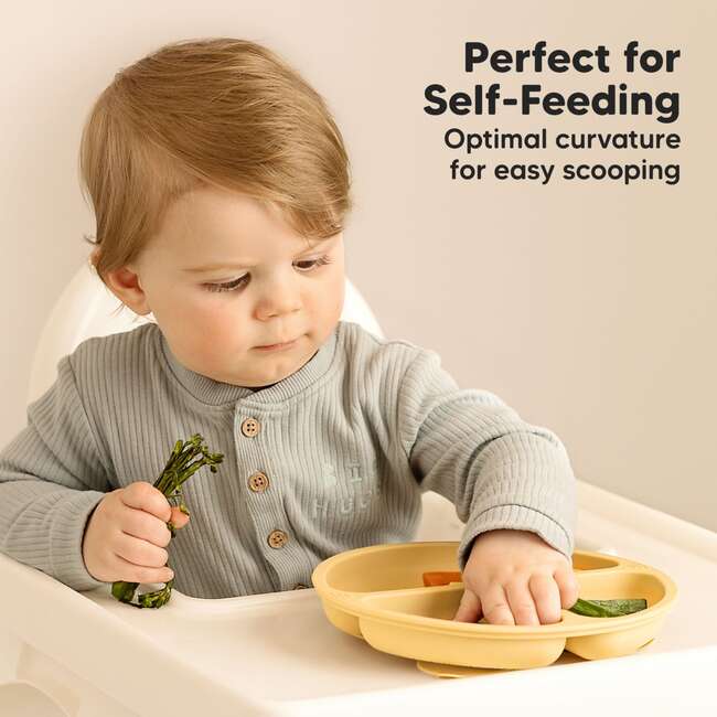 3-Pack BPA-Free Prep Silicone Suction Plate for Baby and Toddler, Valiant - Food Storage - 7