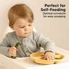 3-Pack BPA-Free Prep Silicone Suction Plate for Baby and Toddler, Valiant - Food Storage - 7