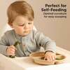 3-Pack BPA-Free Prep Silicone Suction Plate for Baby and Toddler, Terracotta - Food Storage - 7