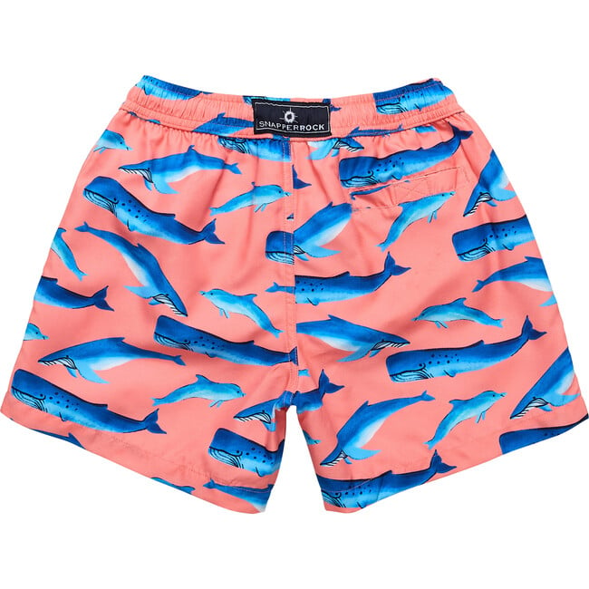 Whale Tail Swim Short - Swim Trunks - 3