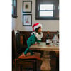 Green & Red Elf Holiday Pajama - Costumes - 4