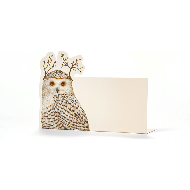 Winter Owl Place Card, Set of 12
