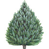 Evergreen Placemat, Set of 12 - Tabletop - 1 - thumbnail