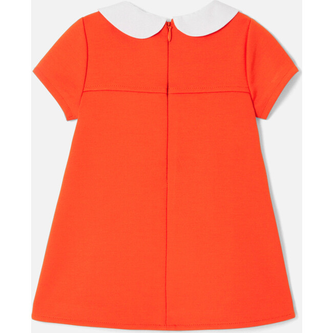 Baby Girl Milano Knit Trapeze Dress, Orange - Dresses - 3