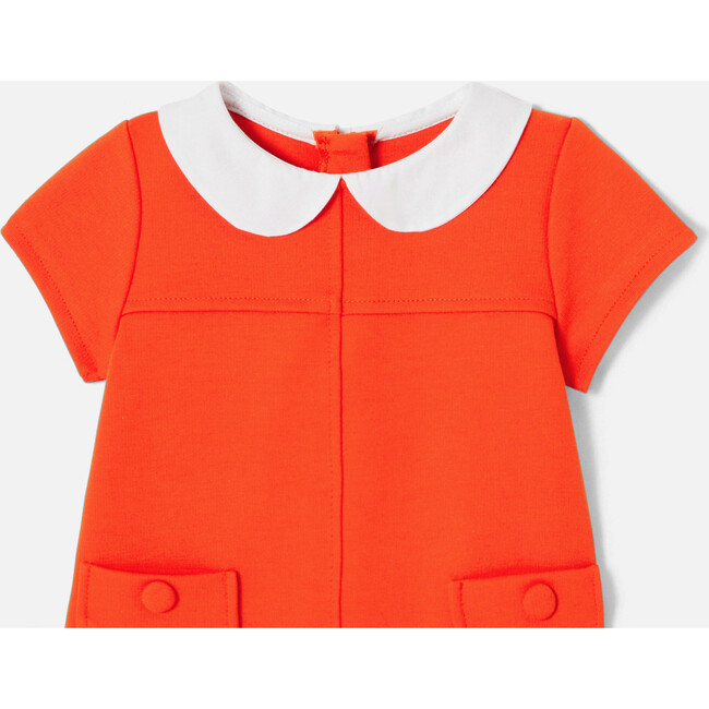 Baby Girl Milano Knit Trapeze Dress, Orange - Dresses - 5