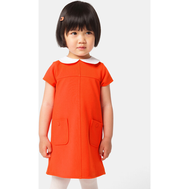 Baby Girl Milano Knit Trapeze Dress, Orange - Dresses - 7