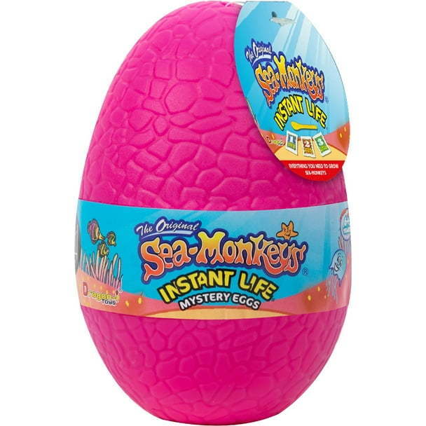 Sea-Monkey Mystery Eggs Instant Pet Set (Single Egg) - Activities - 3