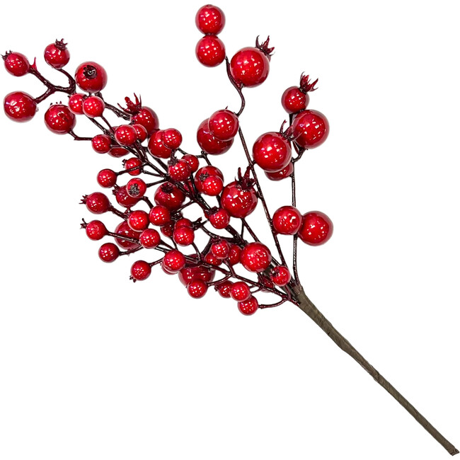 Red Mixed Berry Crabapple Winter Spray
