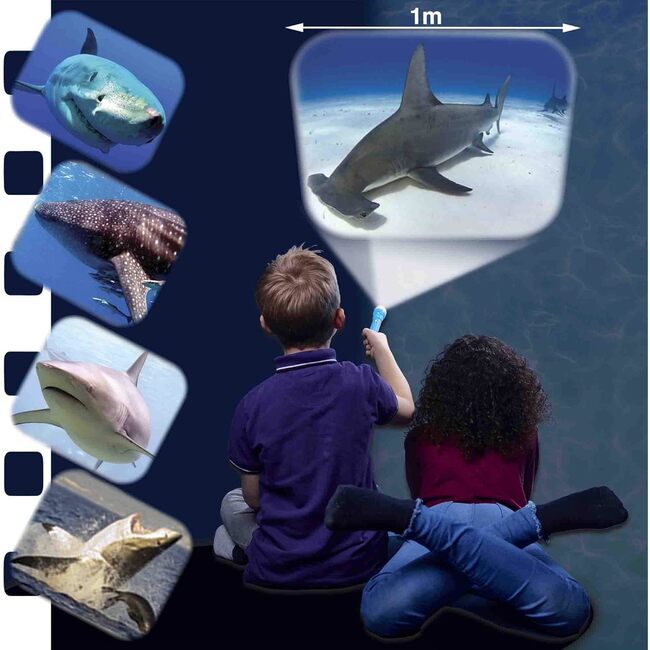 Brainstorm Toys Shark Flashlight and Projector w/ 24 Shark Images - STEM Toy - STEM Toys - 4