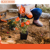 Black and Decker Kids Gardening Set - Tool Sets - 4
