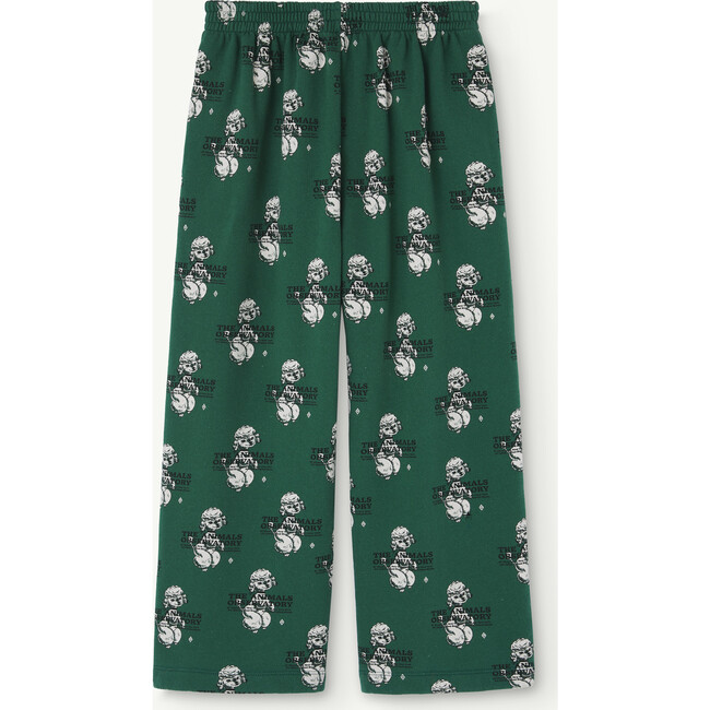 CAMALEON KIDS PANTS Green - Pants - 3