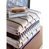 Raita Striped Medium Towel, Purple, Clay & Brown - Towels - 2