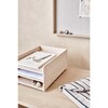 Letter Tray, Nature - Accents - 4