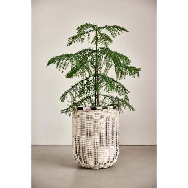 Boo High Storage Basket, Nature - Accents - 2