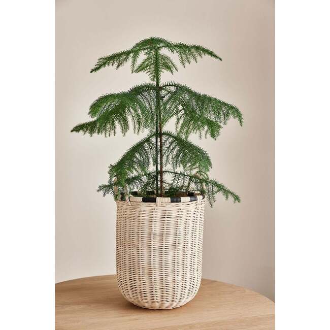 Boo High Storage Basket, Nature - Accents - 4