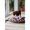 Ashi Large Dog Toy, Caramel & Blue - Pet Toys - 2