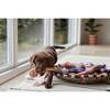 Ashi Large Dog Toy, Caramel & Blue - Pet Toys - 6