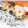 13X18 Toddler Pillow with Pillowcase for Sleeping, Vroom - Nursing Pillows - 8