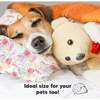 13X18 Toddler Pillow with Pillowcase for Sleeping, Fantasy - Nursing Pillows - 8