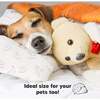 13X18 Toddler Pillow with Pillowcase for Sleeping, ABC Land - Pillows - 8