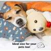 13X18 Toddler Pillow with Pillowcase for Sleeping, Up & Away - Pillows - 8