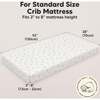 2-Pack Soothe Fitted Crib Sheet, ABC Land Sky - Crib Sheets - 3