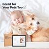 Noel Baby Handprint & Footprint Keepsake Frame, Onyx Black - Wall Décor - 7