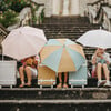 See-Ya Umbrella, Leafed Mushroom - Other Accessories - 2