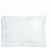 Monogrammed Picnic Gingham Toddler Pillow, Blue - Pillows - 2
