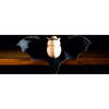 horseshoe bat - Woodens - 1 - thumbnail