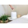 3 in 1 Compact Humidifier - 0.5 Gallon with Sleep Support Light & Aroma Diffuser - Humidifiers - 9