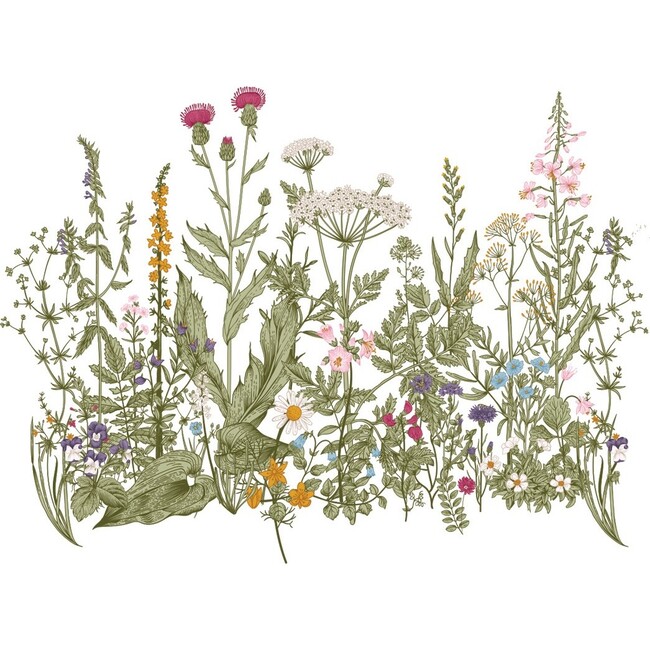 Meadow Color Wall Decal Set