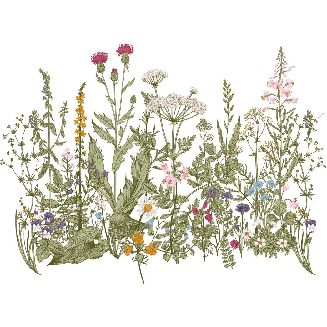 Meadow Color Wall Decal Set - Wall Décor - 1