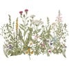 Meadow Color Wall Decal Set - Wall Décor - 1 - thumbnail