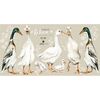 White Ducks Return To Innocence Wall Decal Set - Wall Décor - 1 - thumbnail