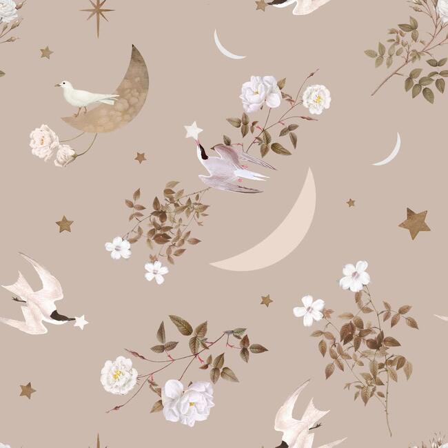 Birds In The Night Sky Wallpaper