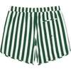 Mens Charleston Green Cabana Stripe Boardie - Swim Trunks - 6