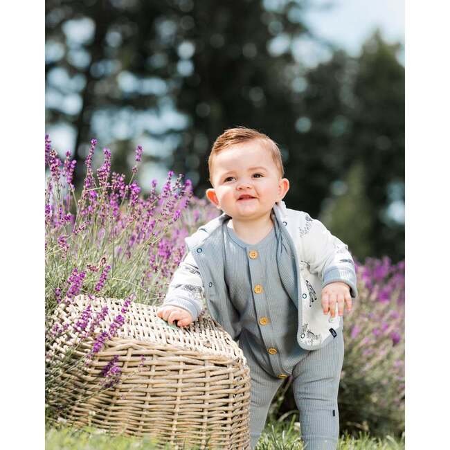 Organic Cotton Jumpsuit, Blue Gray - Rompers - 2