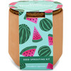 Tiny Terracotta Kit, Baby Watermelon - Planting Kits - 1 - thumbnail