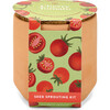 Tiny Terracotta Kit, Cherry Tomato - Planting Kits - 1 - thumbnail