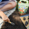 DIY Wild Habitat Garden - Seed Kits - 2