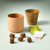 Tiny Terracotta Kit, Baby Watermelon - Planting Kits - 3