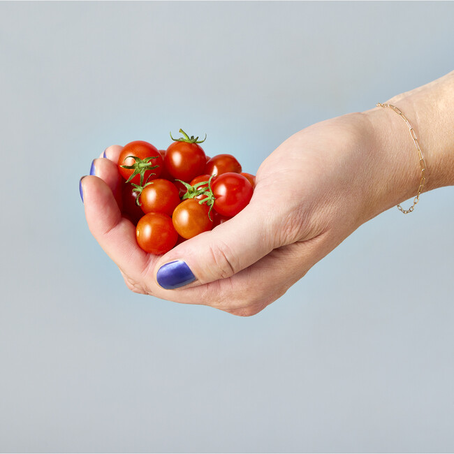 Tiny Terracotta Kit, Cherry Tomato - Planting Kits - 3