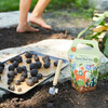 DIY Wild Habitat Garden - Seed Kits - 3