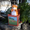 Fox Jack-in-the-Box Toy - Developmental Toys - 4