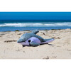 Finn The Dolphin 12" Stuffed Plush Toy w/ Authentic Animal Sounds, for Kids Babies & Toddlers - Plush - 6